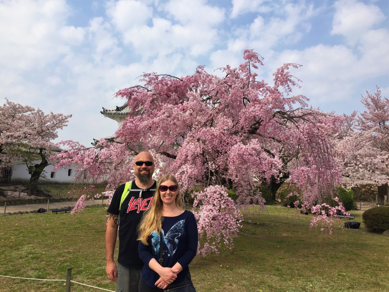 The Sakura, Japan’s Cherry Blossoming&nbsp;Season