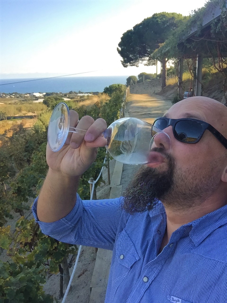 Alella, village and wine region a short taxi ride from Barcelona city&nbsp;centre