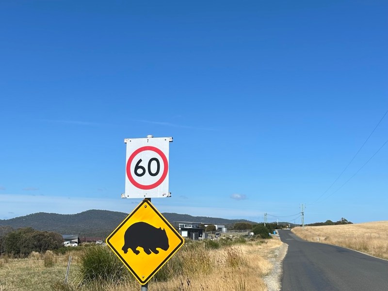 What is it like to drive around in&nbsp;Tasmania?