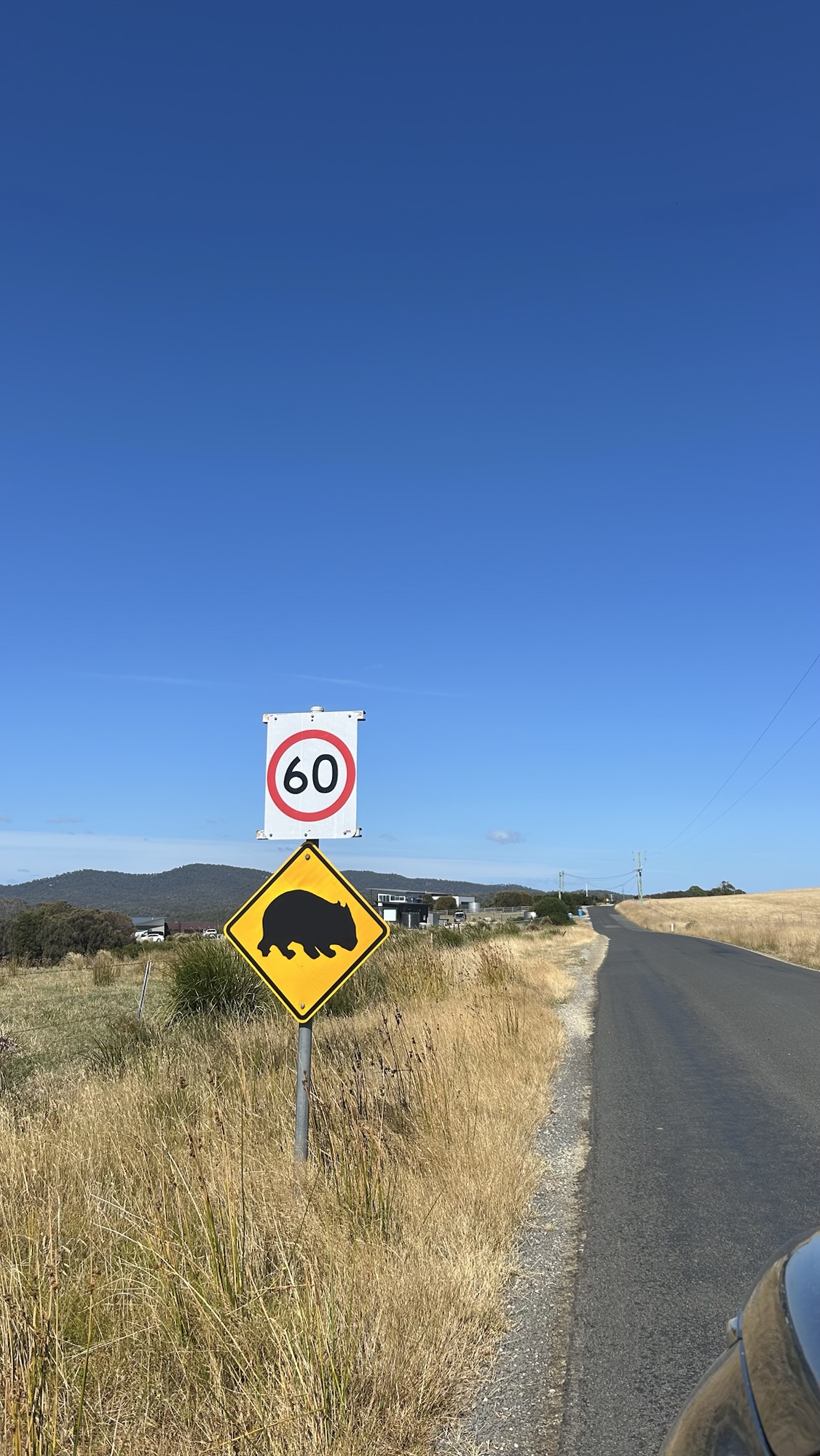 What is it like to drive around in&nbsp;Tasmania?