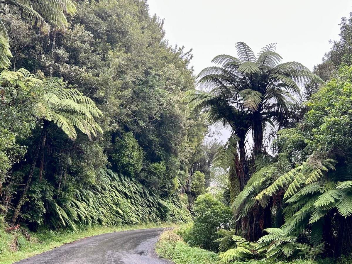 The Forgotten World Highway: New Zealand’s Most Epic Scenic&nbsp;Drive