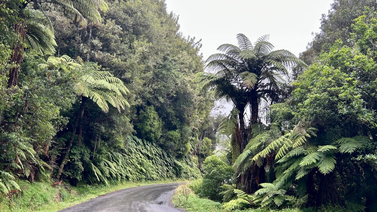 The Forgotten World Highway: New Zealand’s Most Epic Scenic&nbsp;Drive