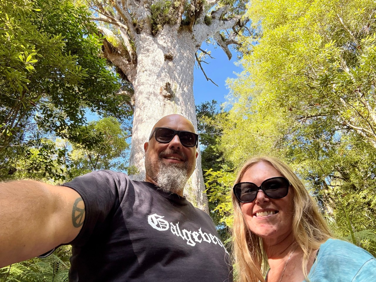 Waipoua Forest – Walking Among&nbsp;Giants
