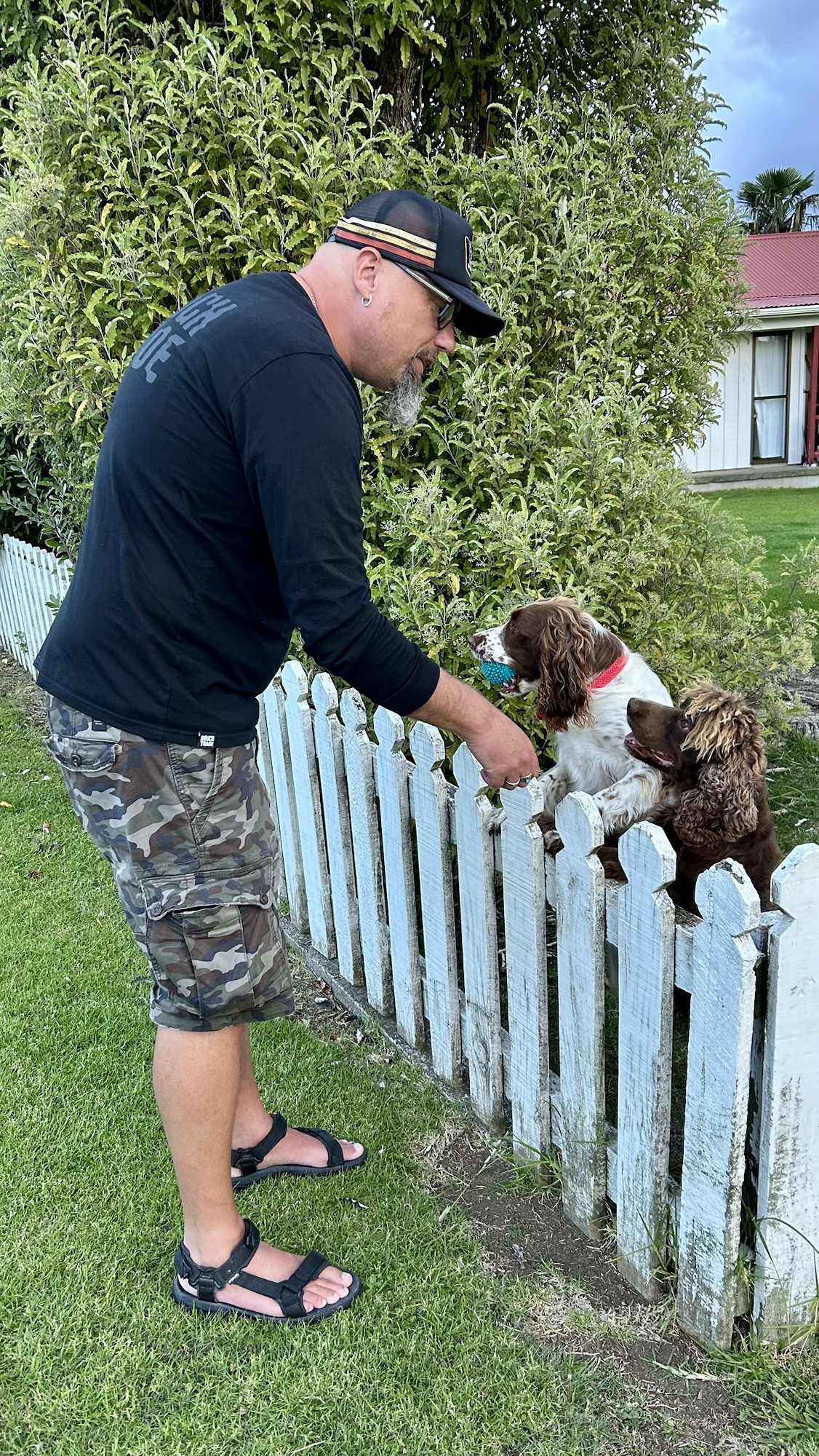 Random New Zealand: Dogs, Coffee & Glorious Chaos